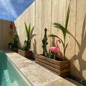 Mas Des Oliviers, Maison Avec Piscine Privative Et Chauffee Locamargue Hébergement de vacances